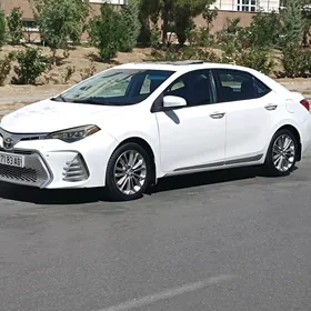 Toyota Corolla 2019