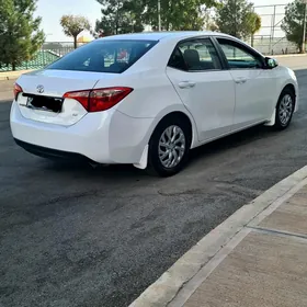 Toyota Corolla 2019