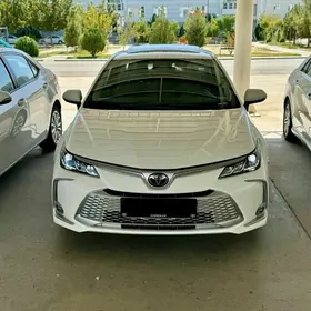 Toyota Corolla 2024