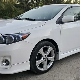 Toyota Corolla 2013