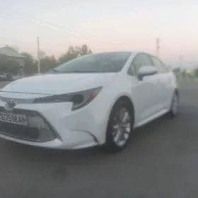 Toyota Corolla 2019