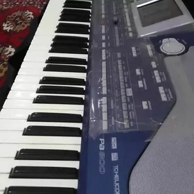 Korg pa800