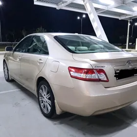 Toyota Camry 2010