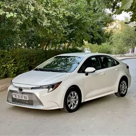 Toyota Corolla 2020