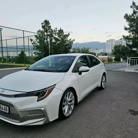 Toyota Corolla 2019