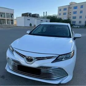 Toyota Camry 2019