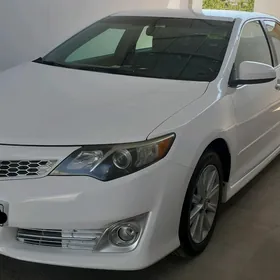 Toyota Camry 2013