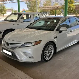 Toyota Camry 2019