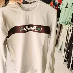 lacoste ust asak