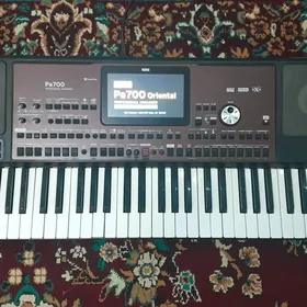 korg pa 700