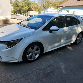 Toyota Corolla 2019