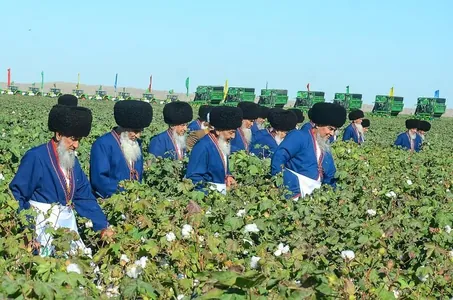 В Туркменистане стартовал сбор хлопка
