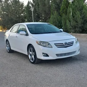 Toyota Corolla 2010