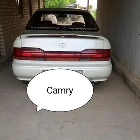 Toyota Camry 1991