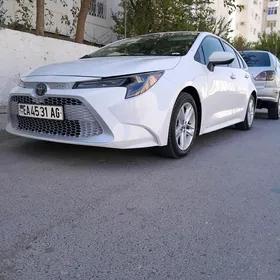 Toyota Corolla 2019