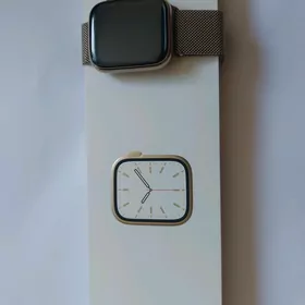 apple watch 7 STAINLESS