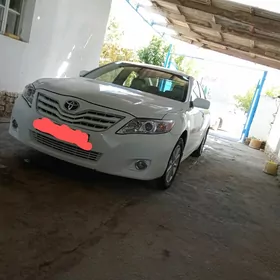 Toyota Camry 2010