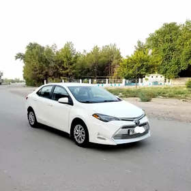 Toyota Corolla 2019