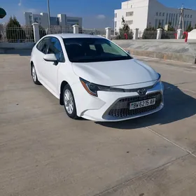 Toyota Corolla 2019