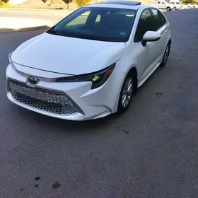 Toyota Corolla 2019