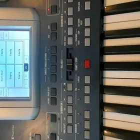 Korg pa 500