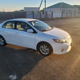 Toyota Corolla 2010