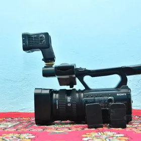 Nx 100