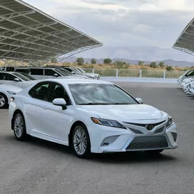 Toyota Camry 2019