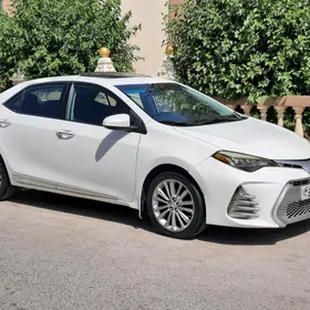 Toyota Corolla 2019