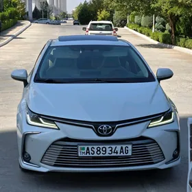 Toyota Corolla 2020