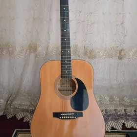 acustik gitara