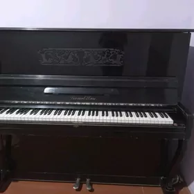 pianino