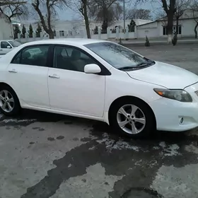 Toyota Corolla 2009