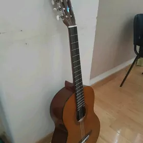 Gitara