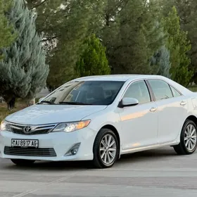 Toyota Camry 2013