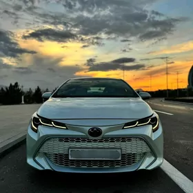 Toyota Corolla 2019