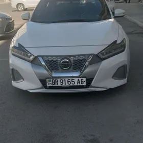 Nissan Maxima 2019