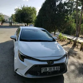 Toyota Corolla 2019