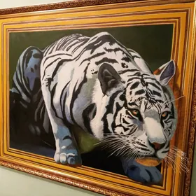 "3D TIGR" elde cekilen kartina