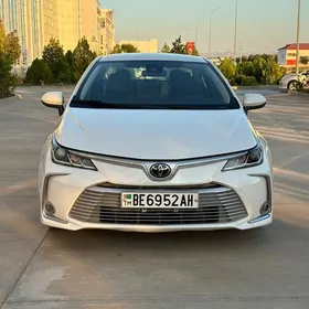 Toyota Corolla 2021