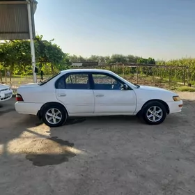 Toyota Corolla 1993