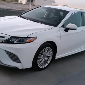 Toyota Camry 2019