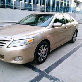 Toyota Camry 2010