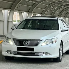 Toyota Aurion 2013