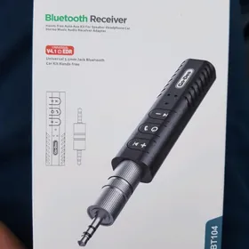 bluetooth AUX