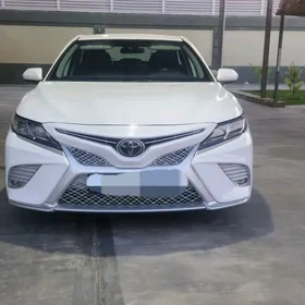 Toyota Camry 2019