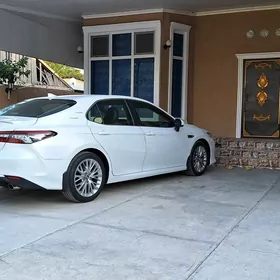 Toyota Camry 2019