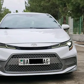 Toyota Corolla 2020