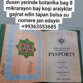 Pasport