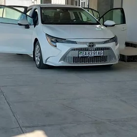 Toyota Corolla 2019